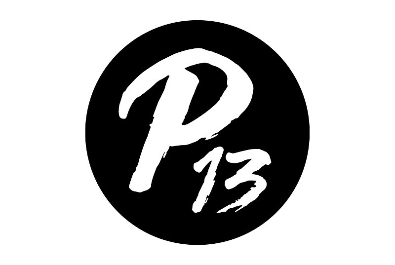 Logo von  Passage 13