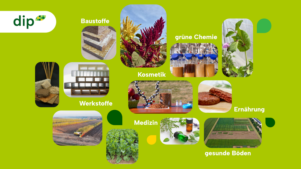 Von der Pflanze zum Produkt: Wie Bioökonomie in Sachsen-Anhalt Zukunft gestaltet